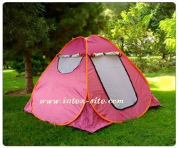 tent silver.4